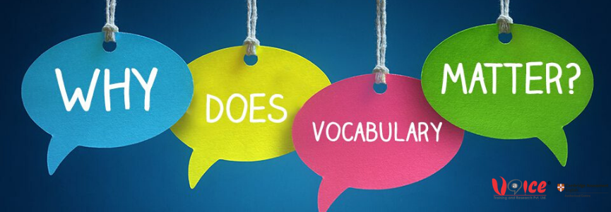 Why Does Vocabulary Matter